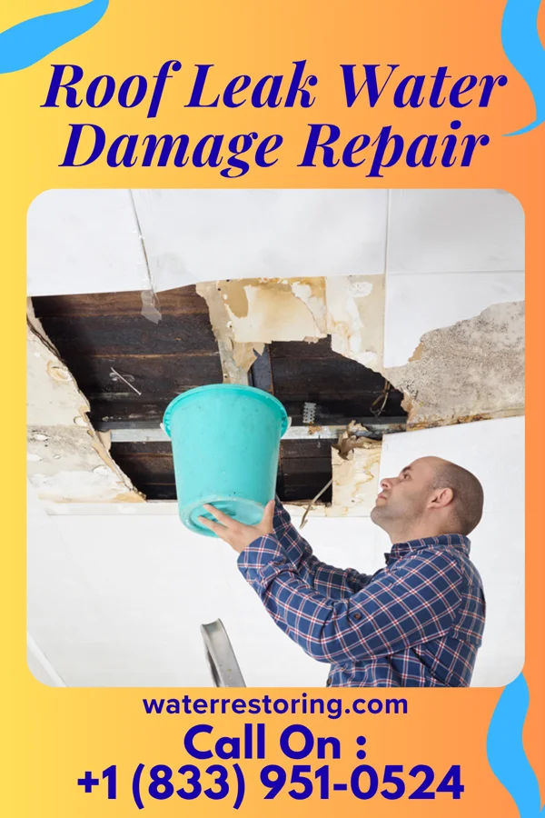 Roof Leak Water Damage Repair in Berlin, WI
